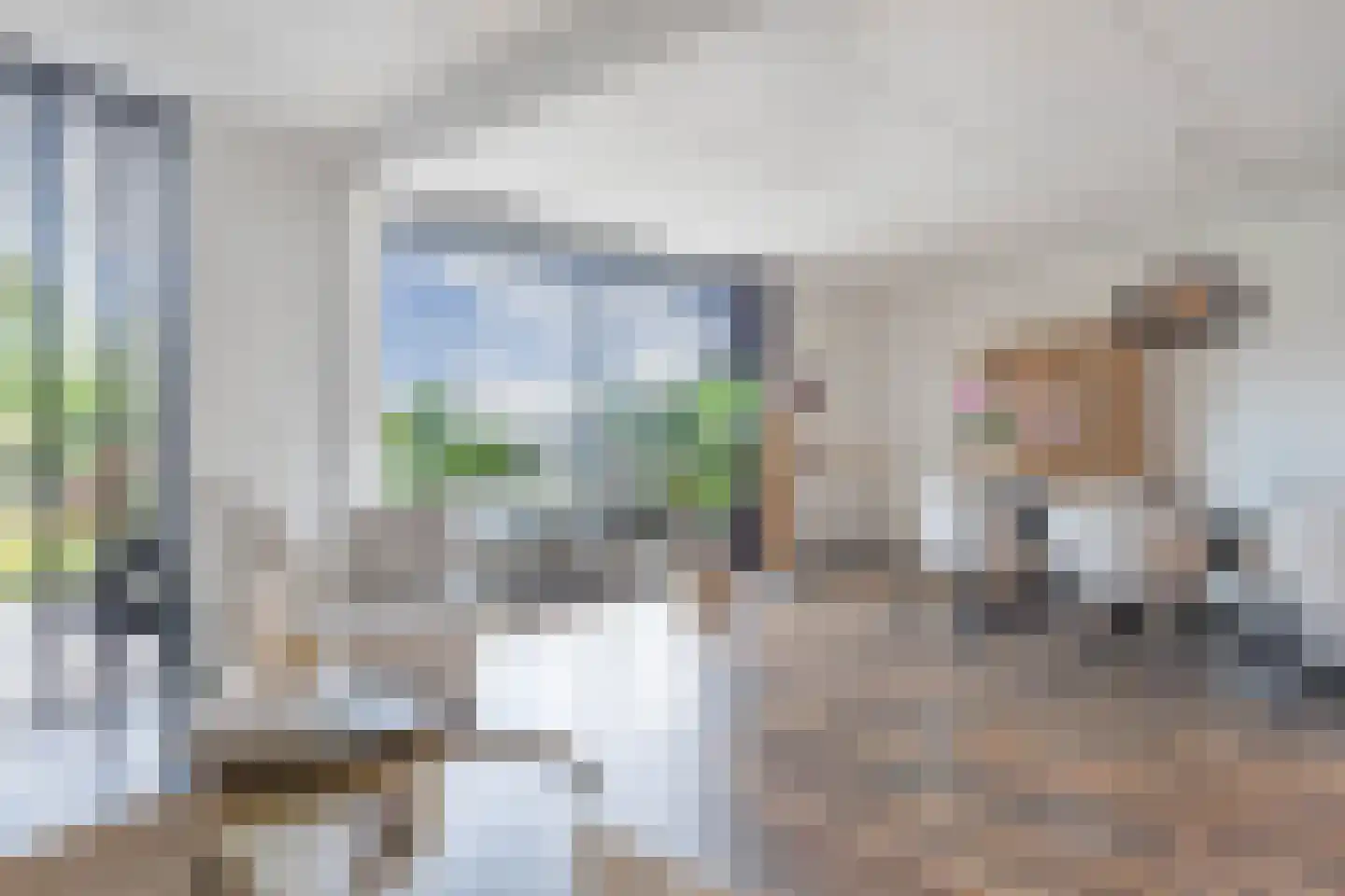 Het Brekkense Wiel 57 Lemmer thumbnail 14