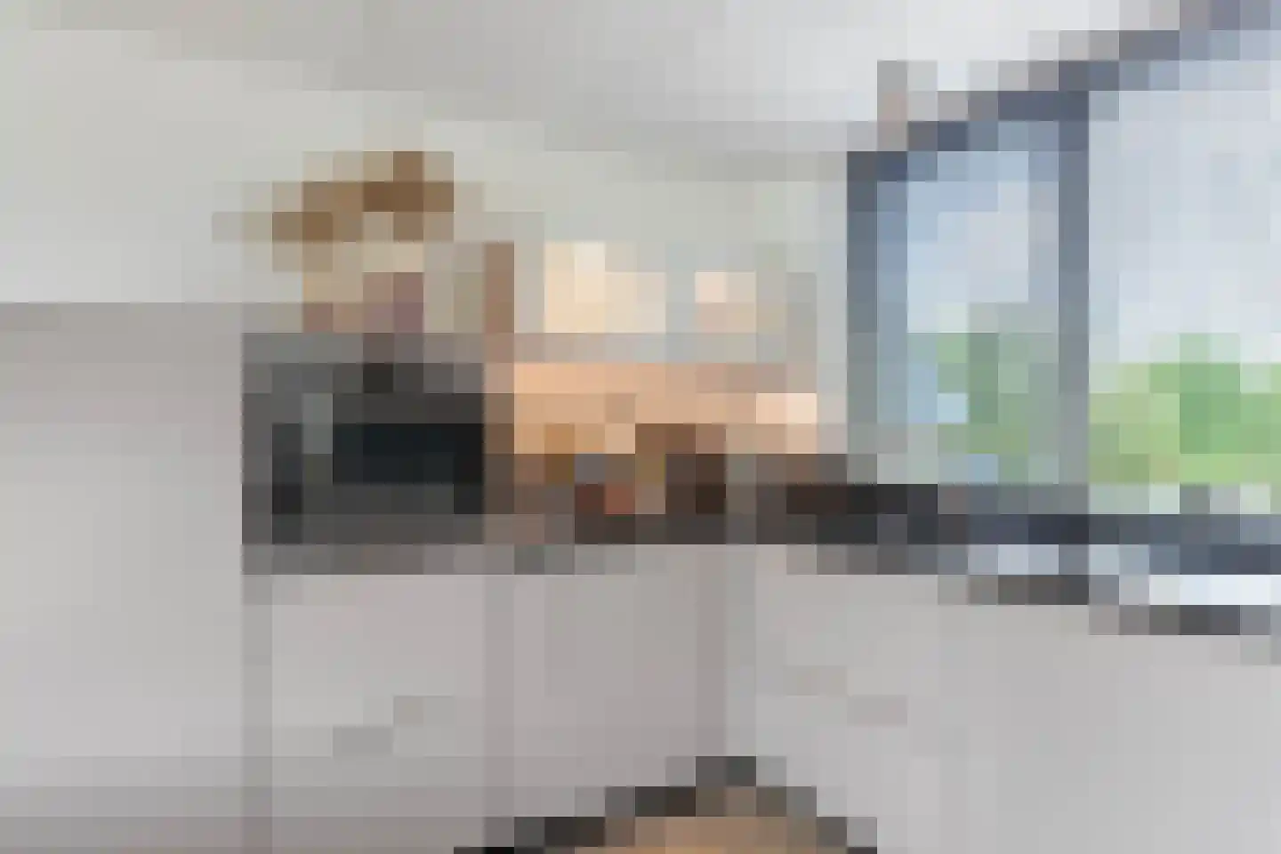 Het Brekkense Wiel 57 Lemmer thumbnail 18