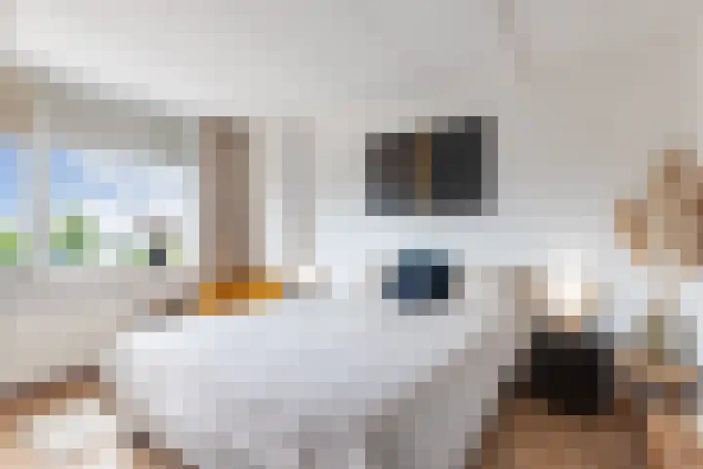 Het Brekkense Wiel 57 Lemmer thumbnail 22