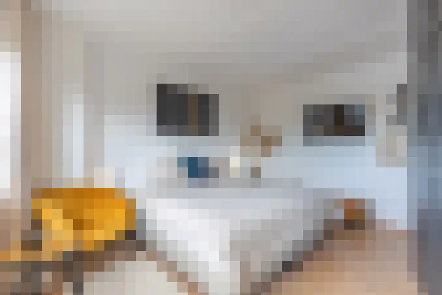 Het Brekkense Wiel 57 Lemmer thumbnail 24