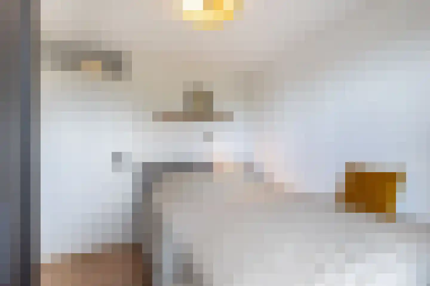 Het Brekkense Wiel 57 Lemmer thumbnail 27