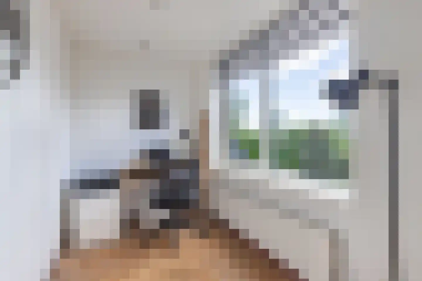 Het Brekkense Wiel 57 Lemmer thumbnail 28