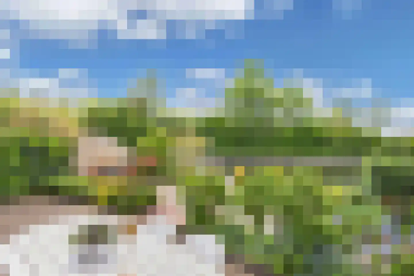 Het Brekkense Wiel 57 Lemmer thumbnail 34