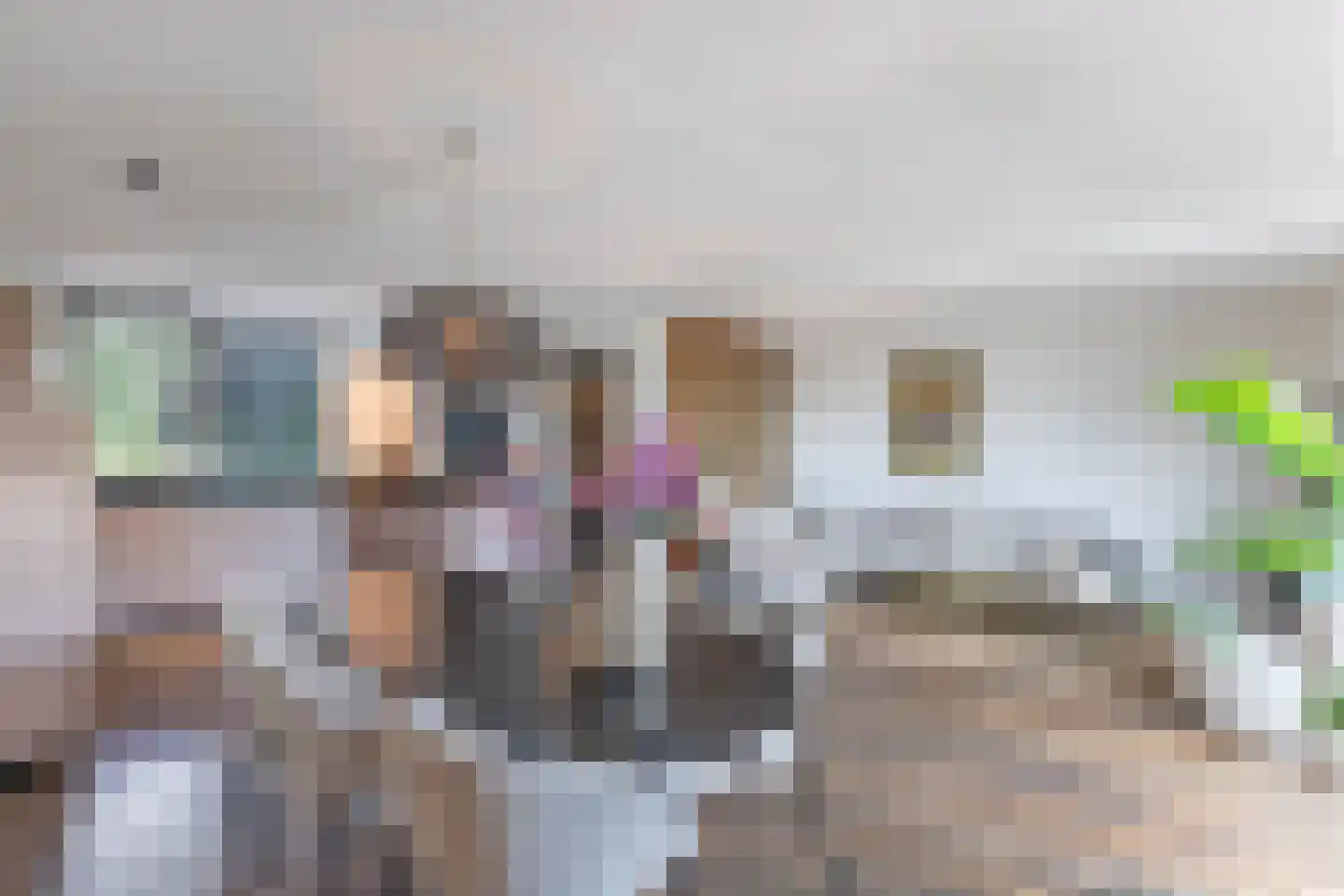 Het Brekkense Wiel 57 Lemmer thumbnail 4