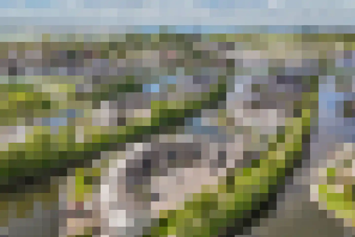 Het Brekkense Wiel 57 Lemmer thumbnail 43