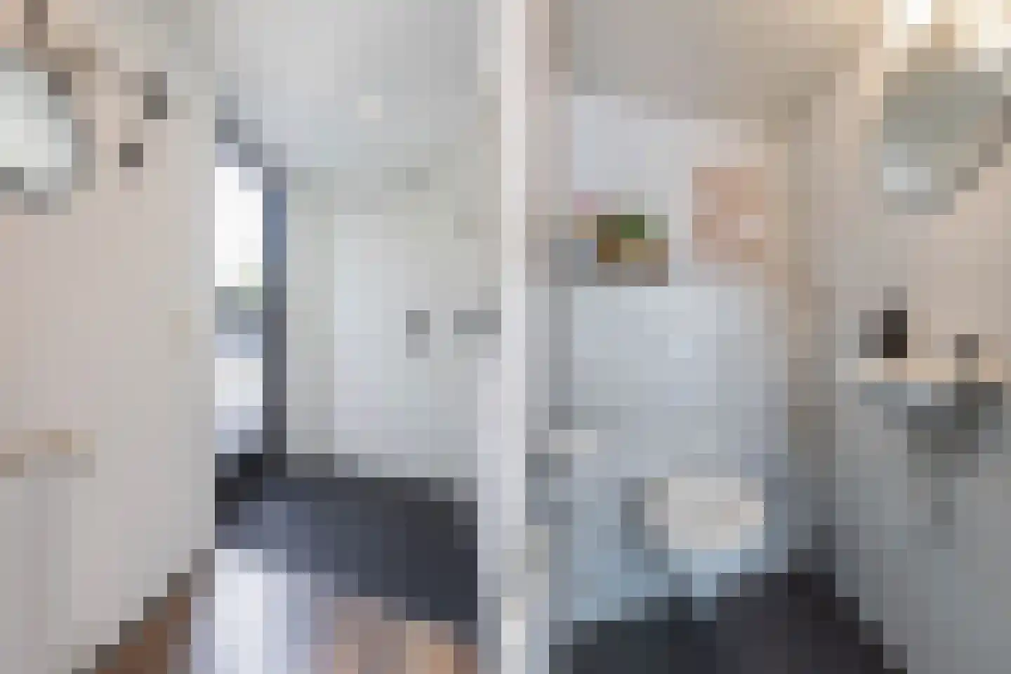 Het Brekkense Wiel 57 Lemmer thumbnail 7