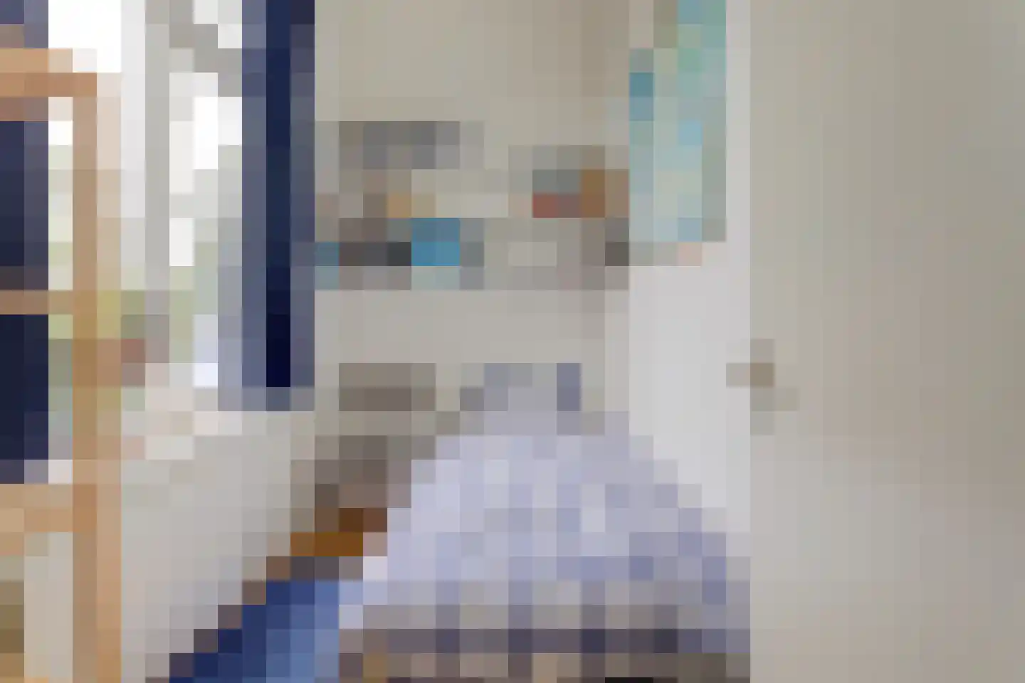 Het Brekkense Wiel 62 Lemmer thumbnail 22