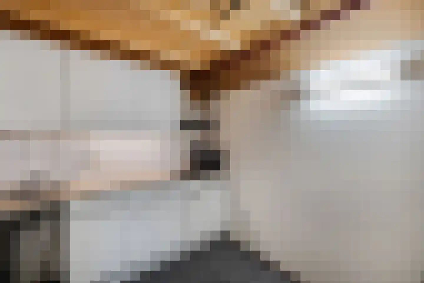 Het Brekkense Wiel 72 Lemmer thumbnail 16