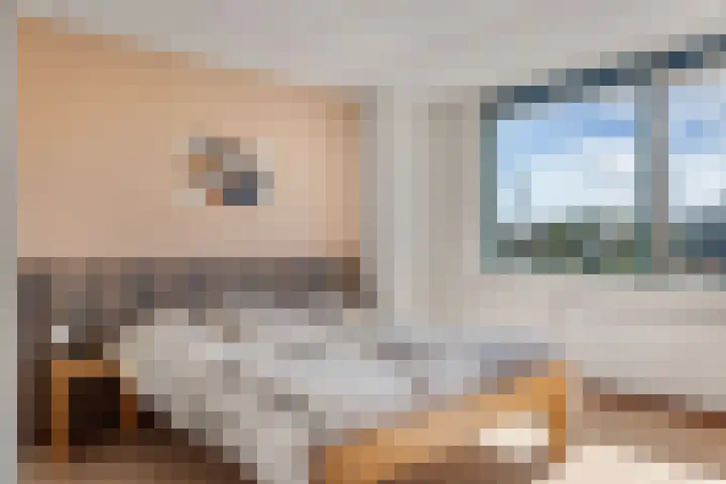 Het Brekkense Wiel 72 Lemmer thumbnail 20