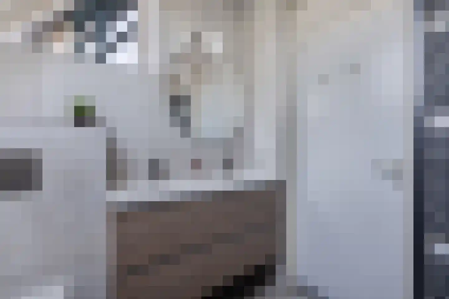 Het Brekkense Wiel 72 Lemmer thumbnail 27
