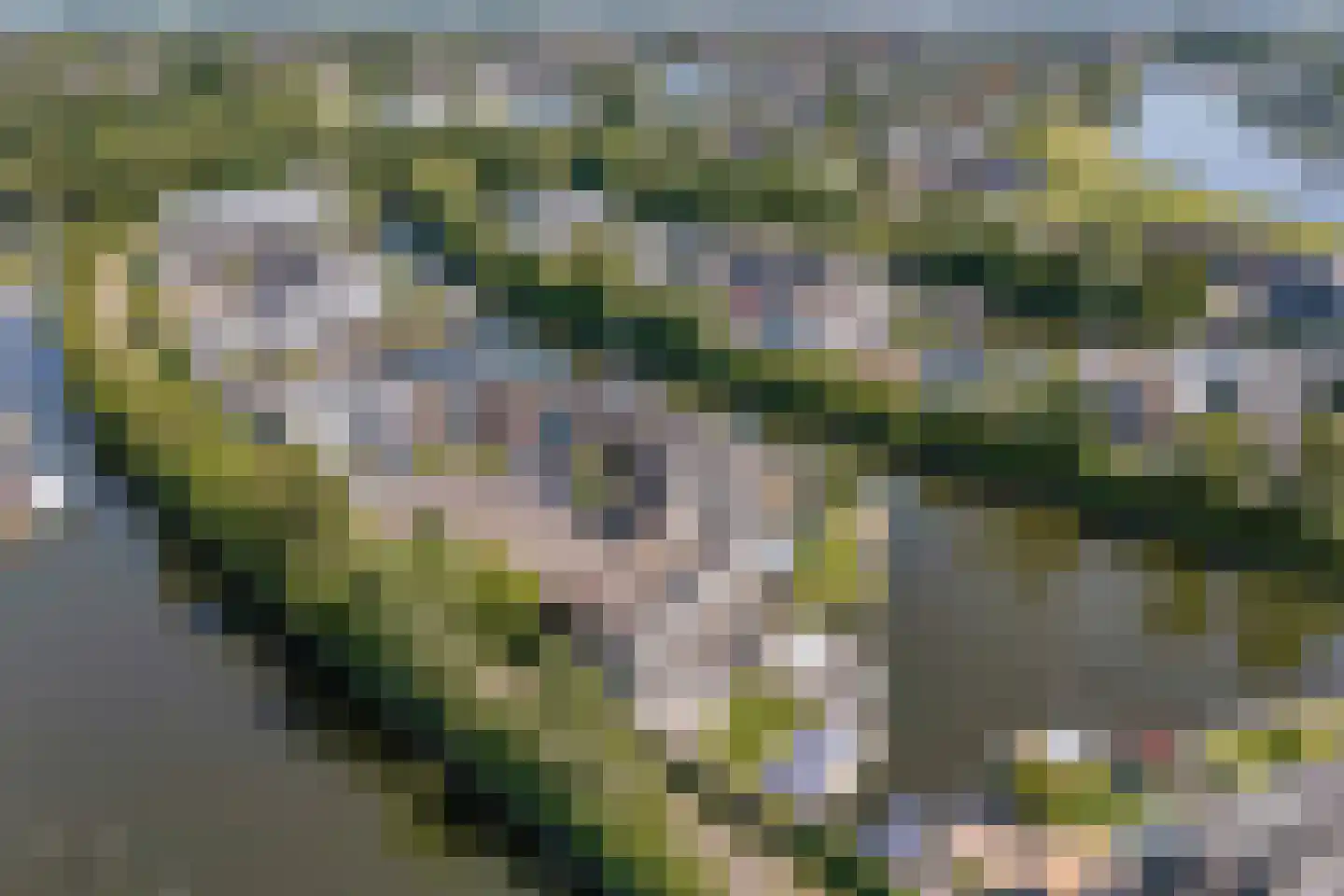 Het Brekkense Wiel 72 Lemmer thumbnail 38