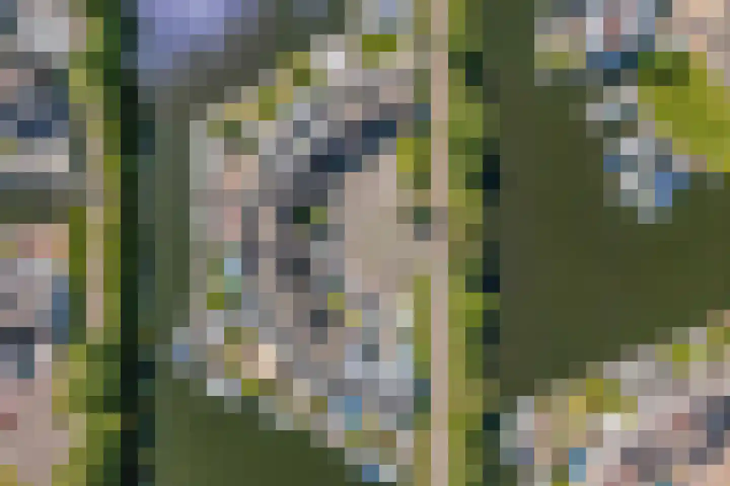 Het Brekkense Wiel 72 Lemmer thumbnail 39
