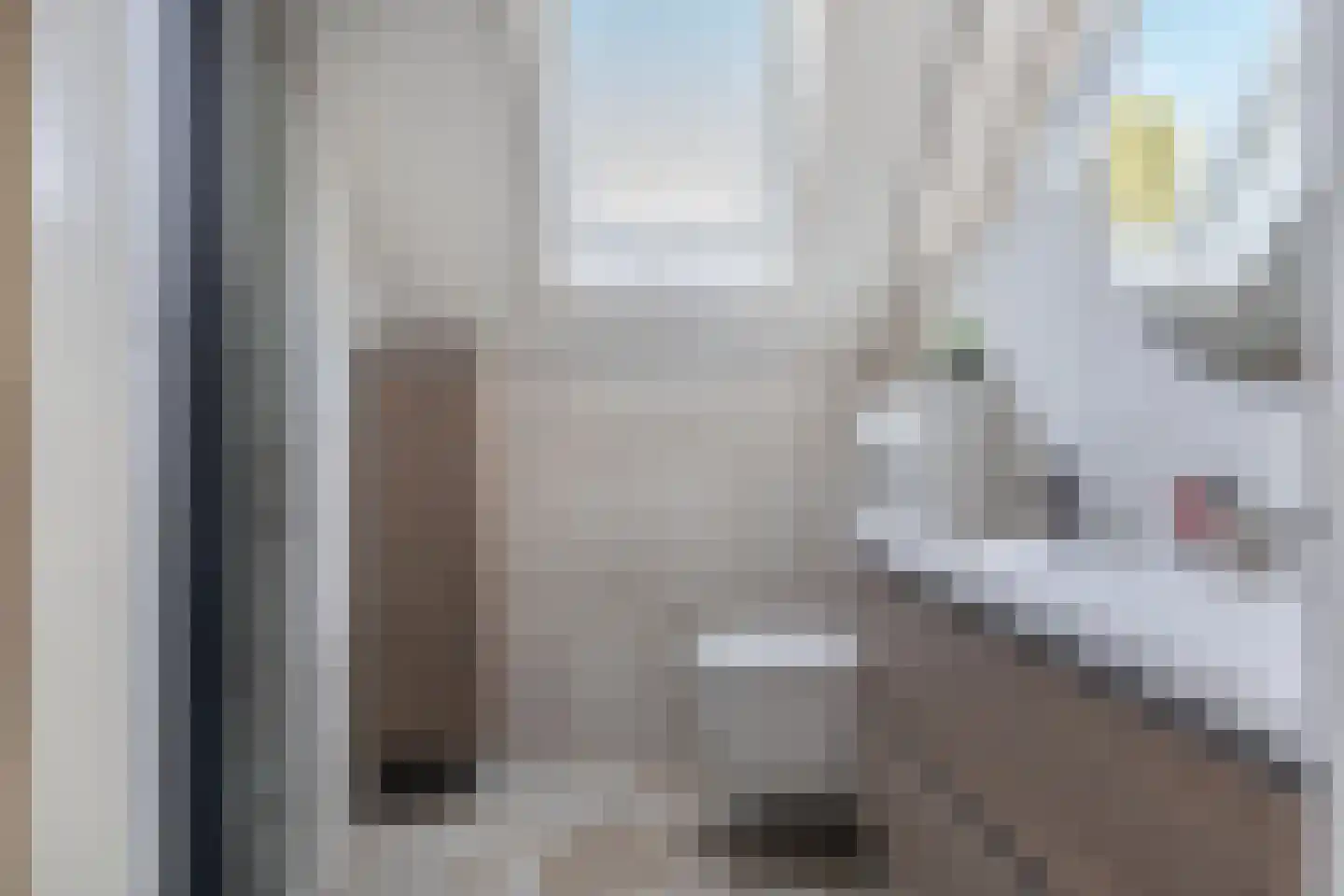 Het Brekkense Wiel 72 Lemmer thumbnail 4