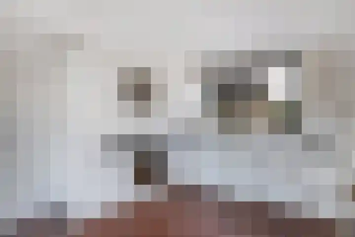 Het Brekkense Wiel 76 Lemmer thumbnail 12