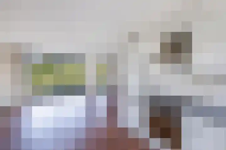 Het Brekkense Wiel 76 Lemmer thumbnail 13