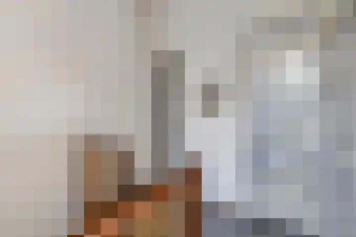 Het Brekkense Wiel 76 Lemmer thumbnail 16