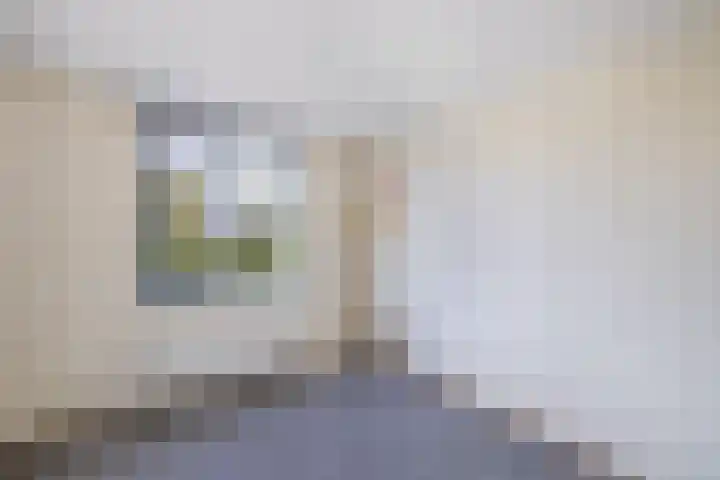 Het Brekkense Wiel 76 Lemmer thumbnail 20