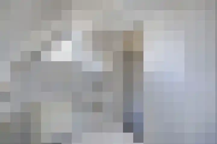 Het Brekkense Wiel 76 Lemmer thumbnail 23
