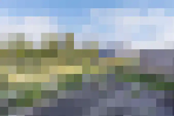 Het Brekkense Wiel 76 Lemmer thumbnail 24
