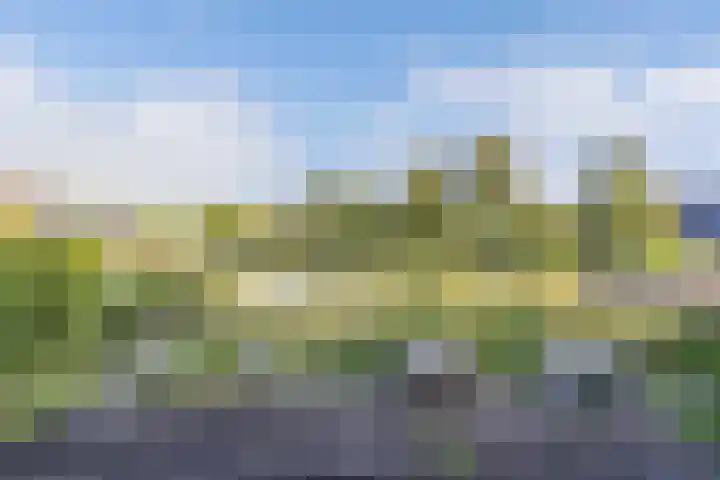Het Brekkense Wiel 76 Lemmer thumbnail 25
