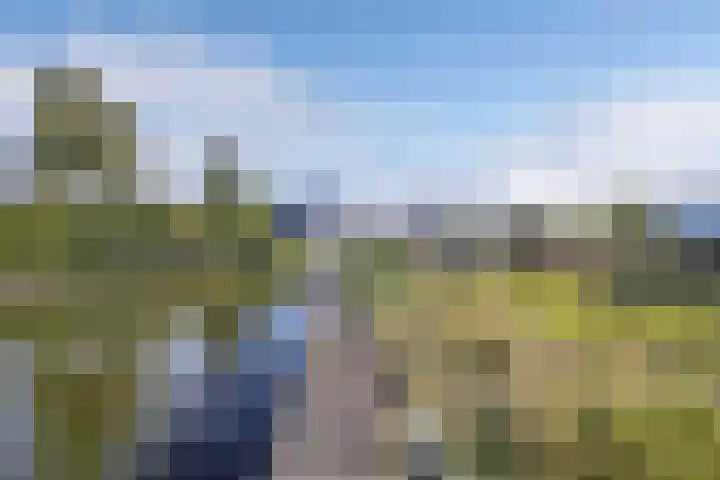 Het Brekkense Wiel 76 Lemmer thumbnail 26