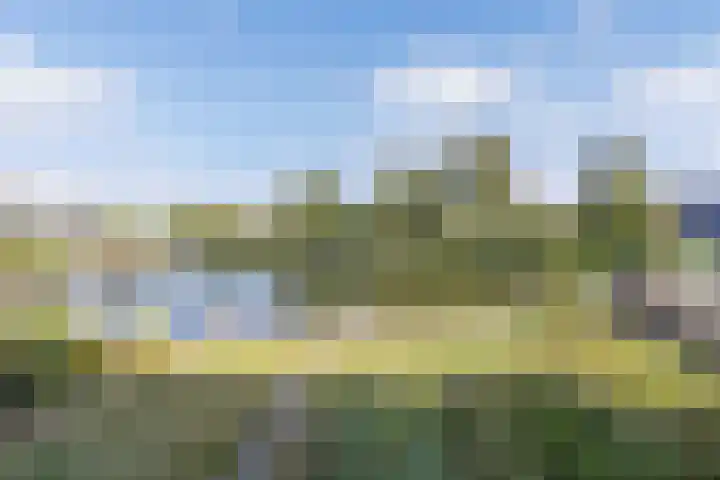 Het Brekkense Wiel 76 Lemmer thumbnail 27