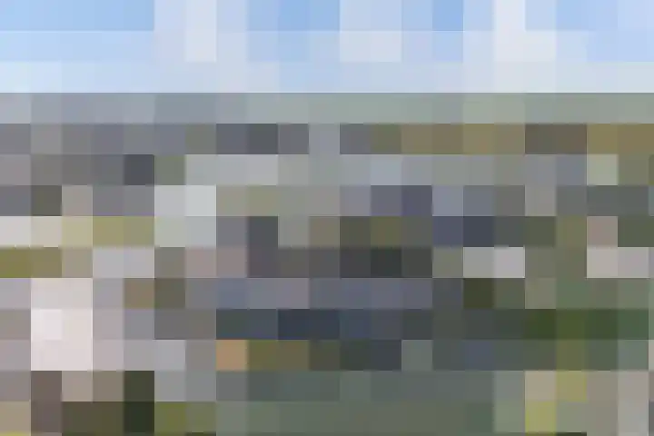 Het Brekkense Wiel 76 Lemmer thumbnail 28