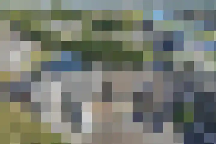 Het Brekkense Wiel 76 Lemmer thumbnail 30