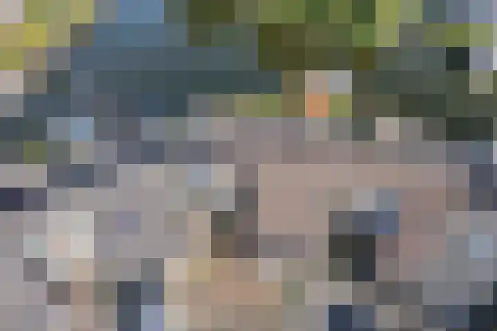 Het Brekkense Wiel 76 Lemmer thumbnail 31