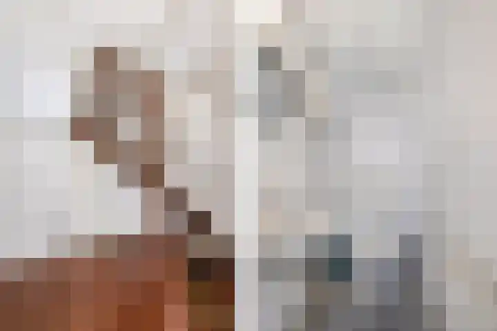 Het Brekkense Wiel 76 Lemmer thumbnail 7