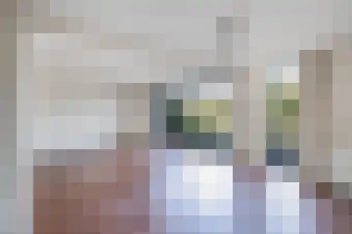 Het Brekkense Wiel 76 Lemmer thumbnail 8