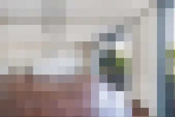Het Brekkense Wiel 76 Lemmer thumbnail 9