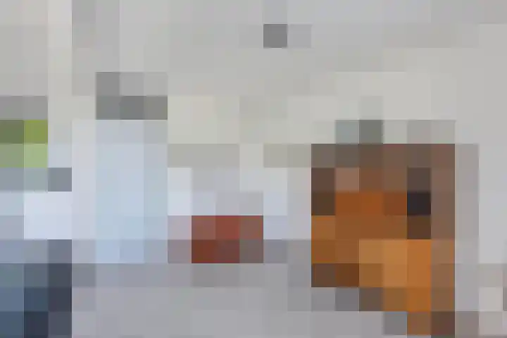 Het Brekkense Wiel 83 Lemmer thumbnail 12