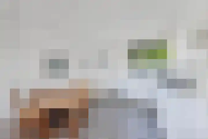 Het Brekkense Wiel 83 Lemmer thumbnail 16