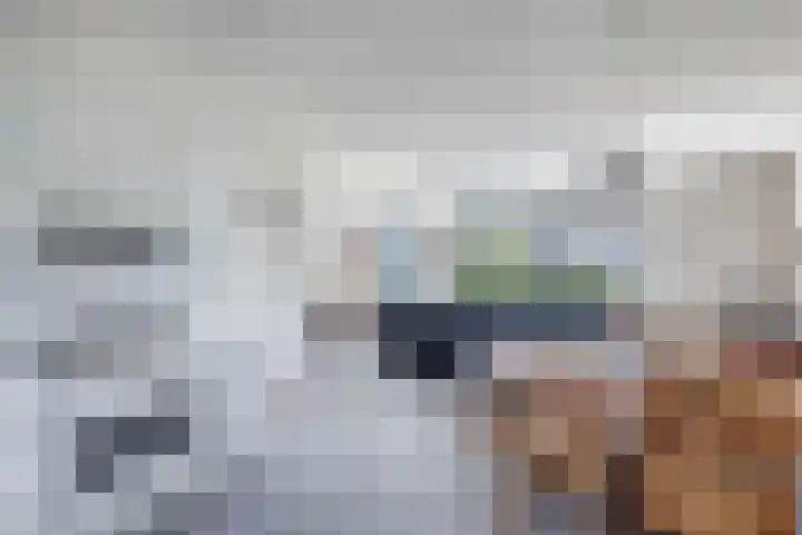 Het Brekkense Wiel 83 Lemmer thumbnail 18