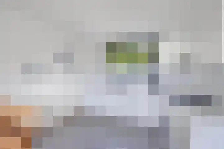 Het Brekkense Wiel 83 Lemmer thumbnail 19