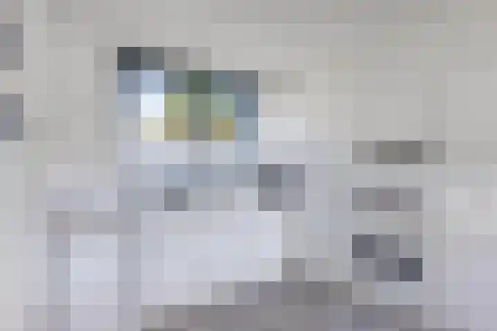 Het Brekkense Wiel 83 Lemmer thumbnail 20