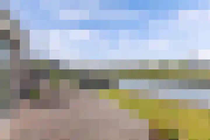 Het Brekkense Wiel 83 Lemmer thumbnail 21