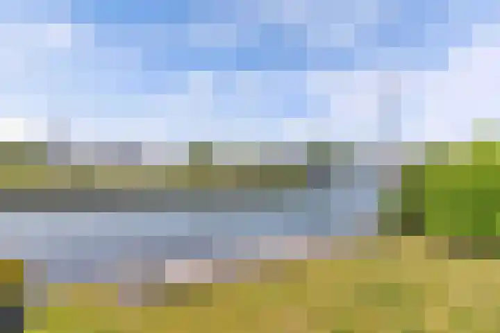 Het Brekkense Wiel 83 Lemmer thumbnail 23