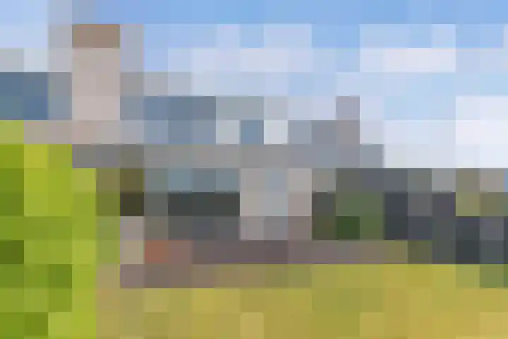 Het Brekkense Wiel 83 Lemmer thumbnail 26