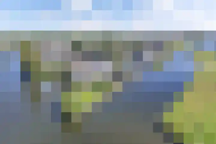 Het Brekkense Wiel 83 Lemmer thumbnail 29