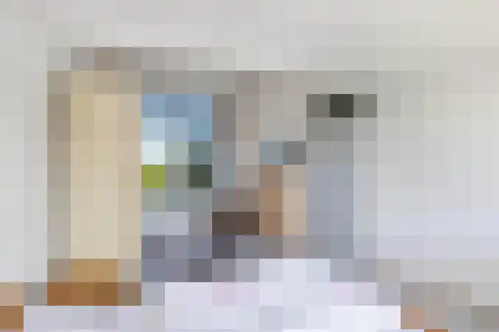 Het Brekkense Wiel 83 Lemmer thumbnail 36
