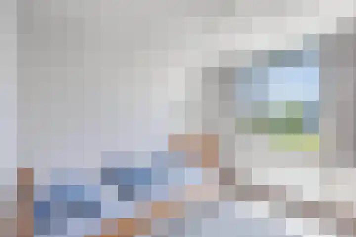 Het Brekkense Wiel 83 Lemmer thumbnail 37