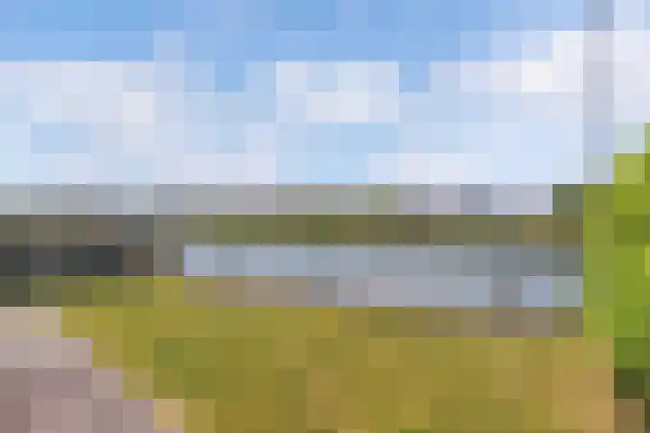 Het Brekkense Wiel 83 Lemmer thumbnail 4