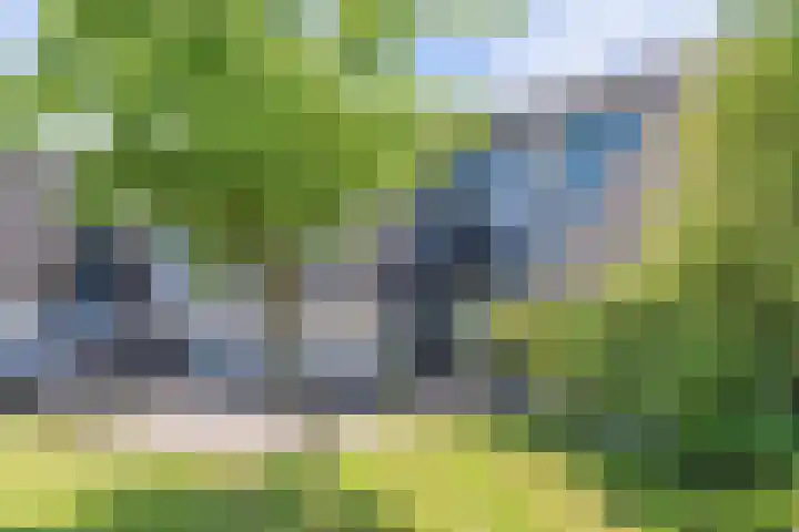 Het Brekkense Wiel 83 Lemmer thumbnail 41