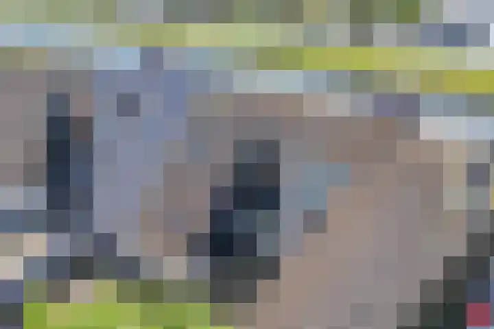 Het Brekkense Wiel 83 Lemmer thumbnail 42