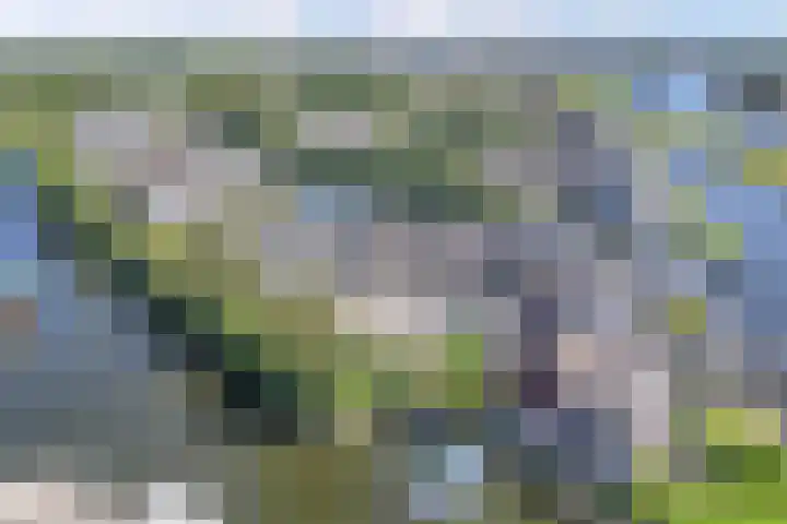 Het Brekkense Wiel 83 Lemmer thumbnail 44