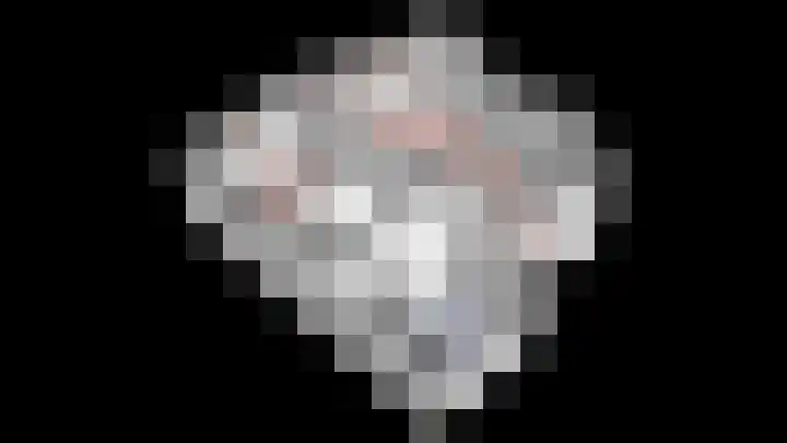 Het Brekkense Wiel 83 Lemmer thumbnail 48
