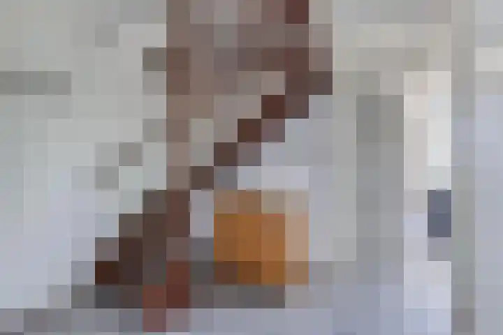 Het Brekkense Wiel 83 Lemmer thumbnail 7
