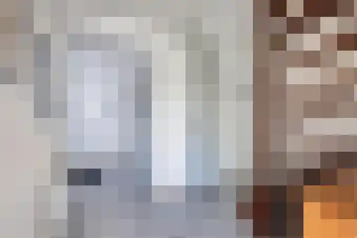 Het Brekkense Wiel 83 Lemmer thumbnail 8